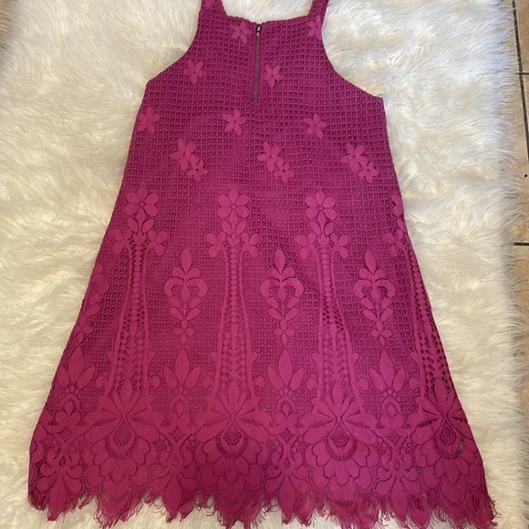 Francesca’s Mini Lace Dress - Picture 2 of 8